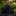 Black tie with white floral patterns on a stone surface with flowers in the background
