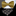 Gold Standard Bow Tie