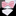 Kobi pink Bow Tie and White Square