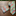 Alt View: Neon Green, Orange, Blue Paisley Necktie and Matching Square