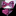 Plum, Pink, White Large Christmas Ornaments Bow Tie and Pocket Square