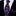 Blue, Pink Cactus Flower Tie||Blue, Pink