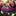 Dark Pink, Pink Floral Bow Tie Self tie