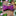 Dark Pink, Pink Floral Bow Tie
