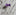 A Purple Colored Bow Tie Shaped Lapel Pin||Purple