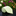 Rolled-up green yoga mat with white patterns on a black surface with flowers in the background
