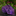 Purple paisley tie on a dark surface with a blurred floral background
