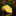 Yellow tie with blue polka dots on a reflective surface with flowers in the background