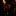 Red and black floral lapel pin on a dark textured surface