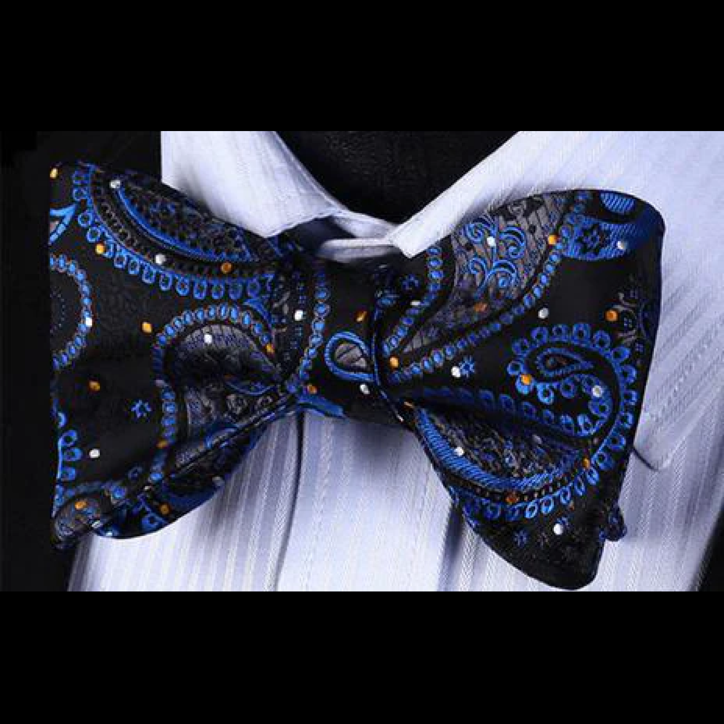 Back and Blue Paisley Bow Tie