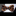Leopard print bow tie on a white shirt with a gray background