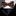 Leopard print bow tie and black pocket square on a mannequin with a white shirt.