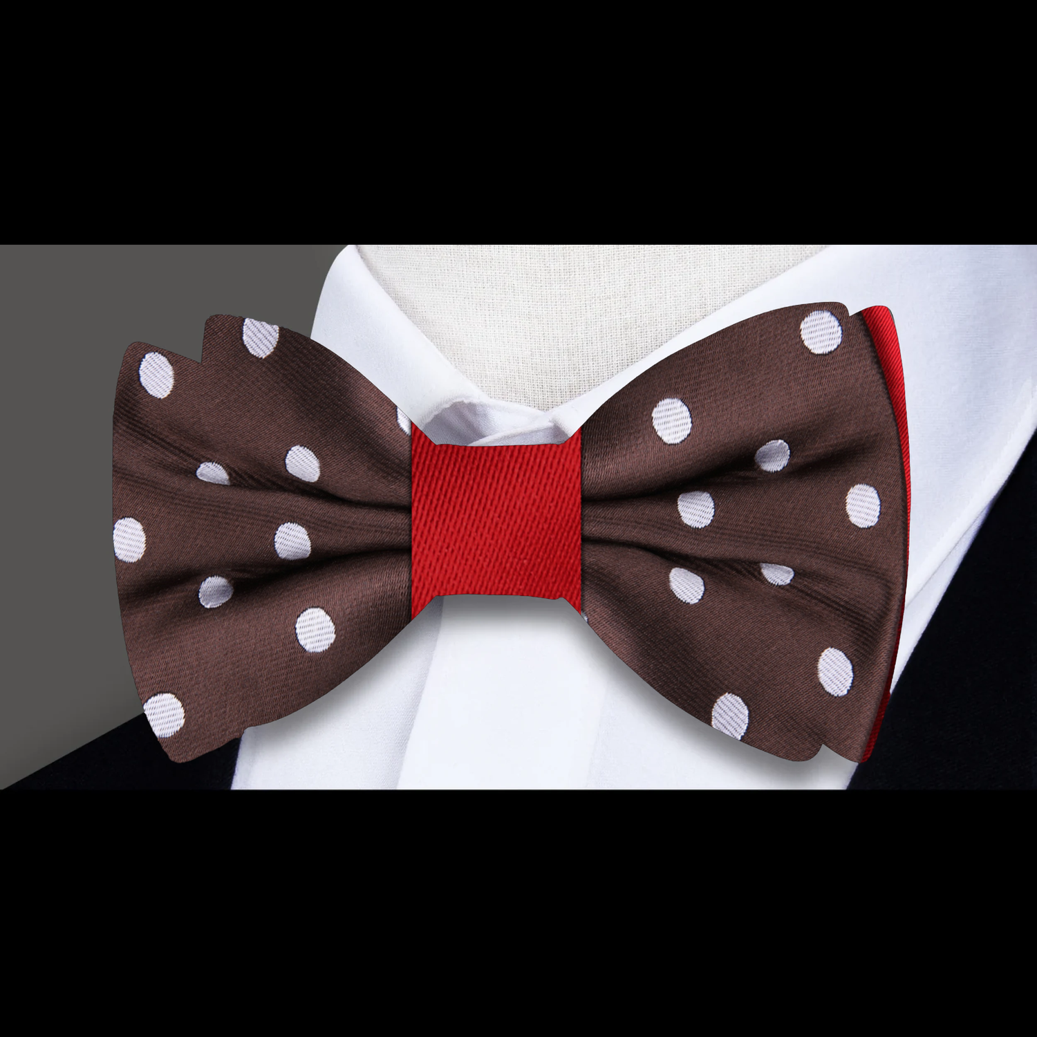 Brown, White, Red Polka Bow Tie  