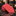 Red Small Flowers Tie