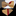 Gold and red bow tie with matching pocket square on a white shirt.