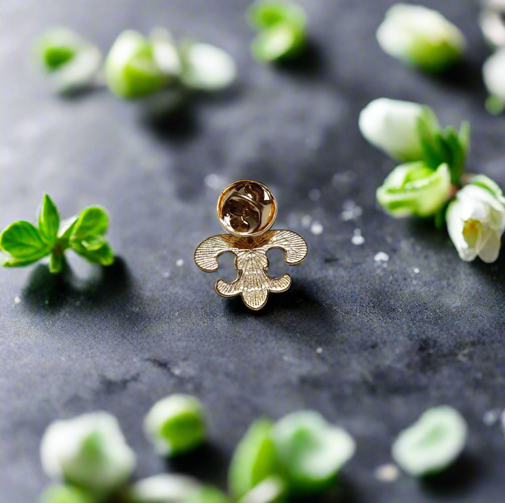 Back Gold Color Lapel Pin