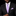 A man wearing a black suit jacket, white dress shirt, and a purple and blue striped tie with a matching pocket square, photographed against a solid black background.