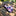 Zipper Pink Blue Check necktie