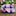 Pink Blue Check necktie