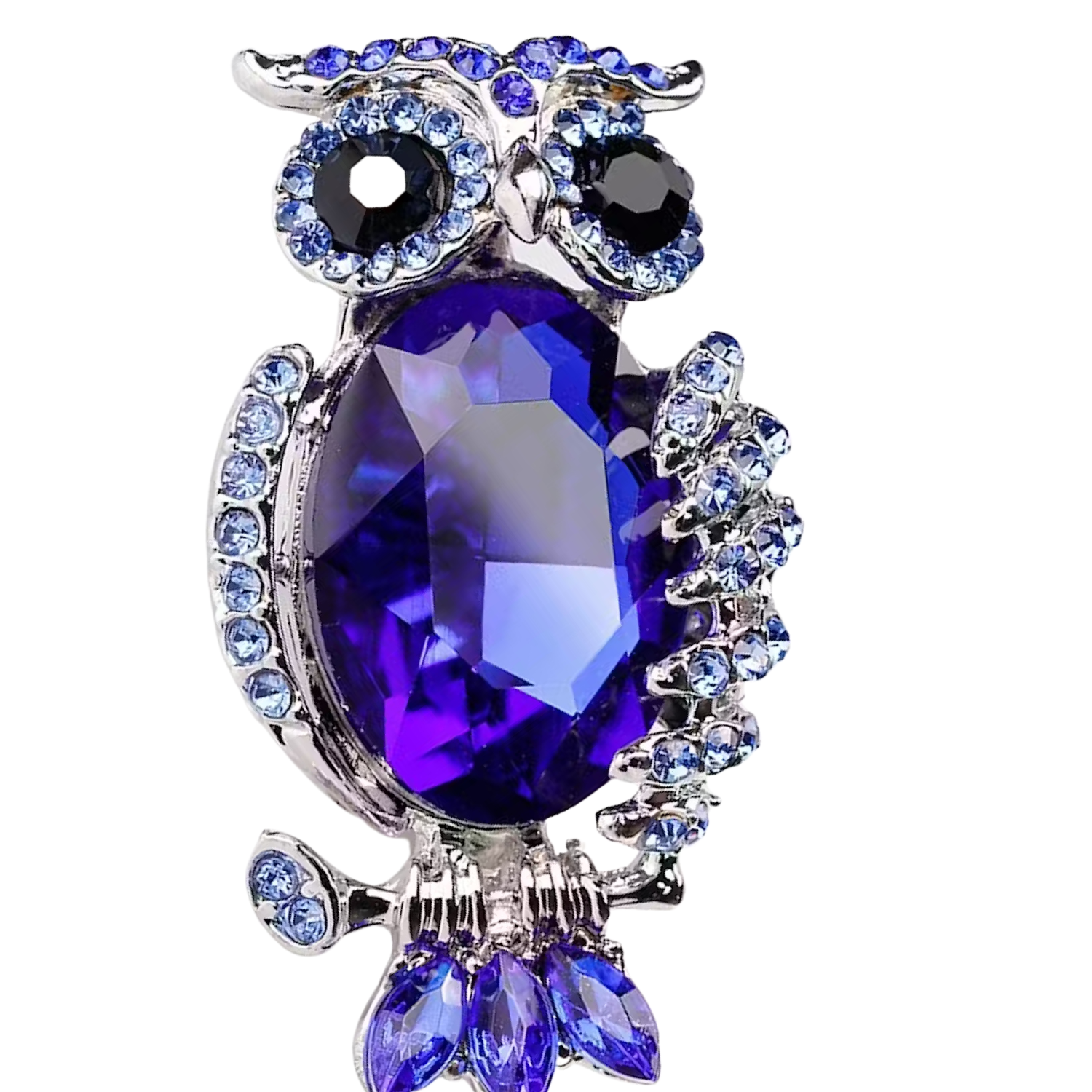 View 2: Purple and Blue with Chrome Owl Lapel Pin