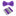 Solid Purple Bow Tie and Accenting Square