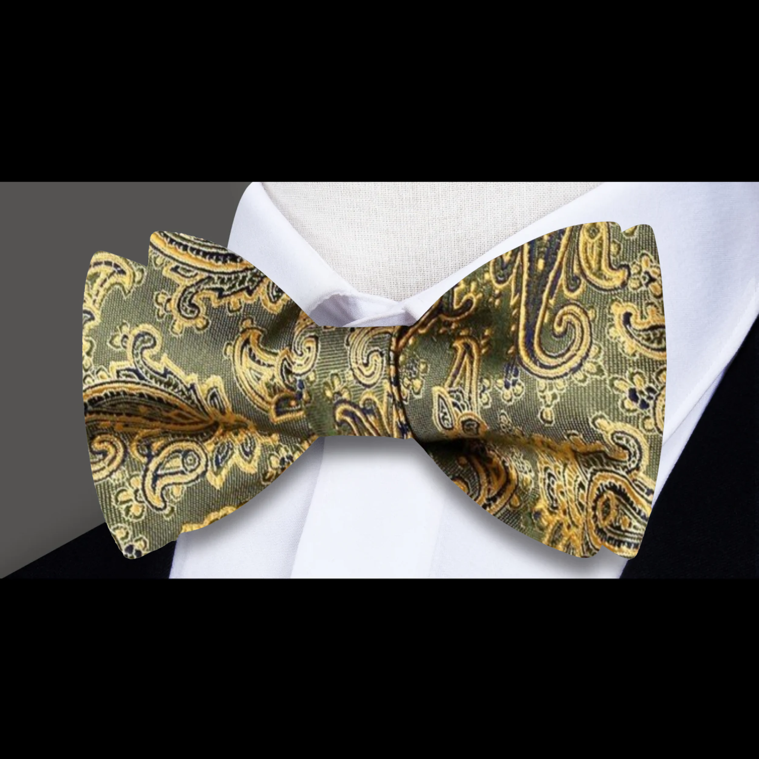 Paisley Pattern Bow Tie Collection | Playful Color Meets  display picture 1