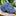 ||Blue