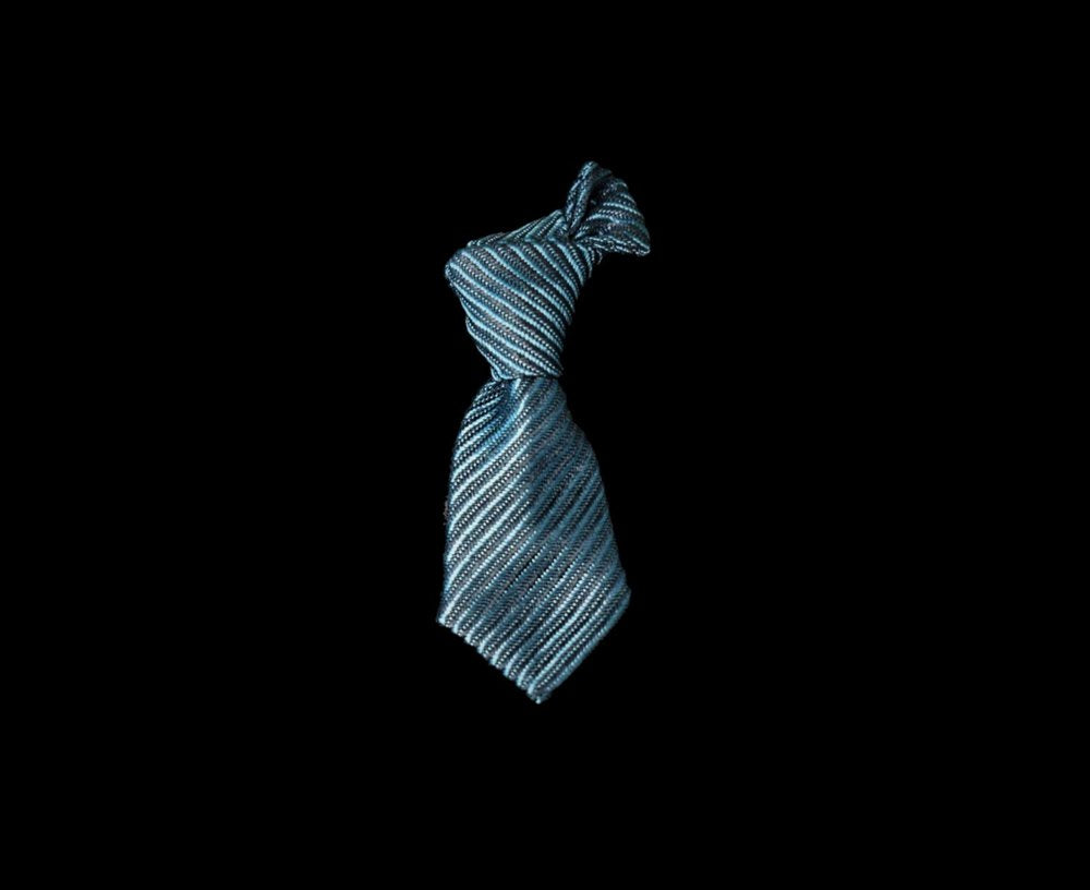 A Blue Stripe Necktie Shaped Lapel Pin||Blue Stripe