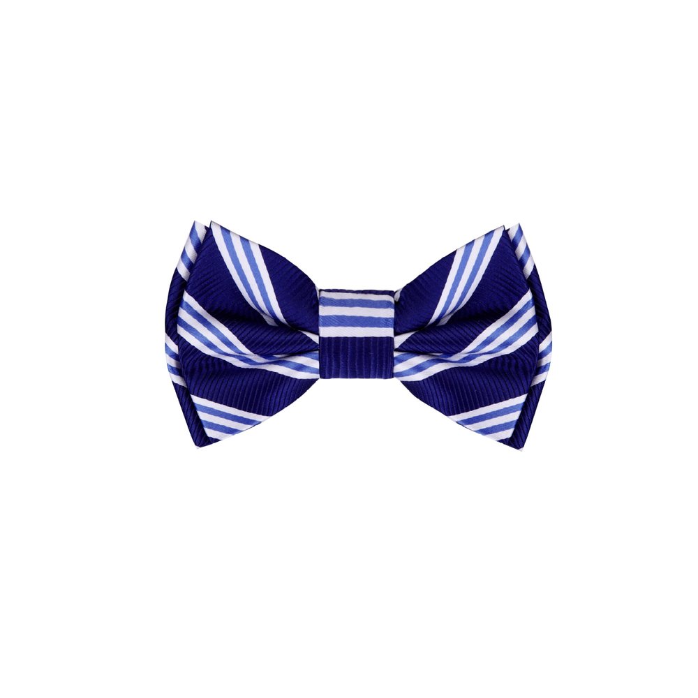 Blue, White Stripe Bow Tie||Blue