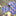 Alt Peach Purple Blue Flowers Necktie and Square
