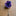 Blue Purple Flower Lapel Pin||Blue, Purple