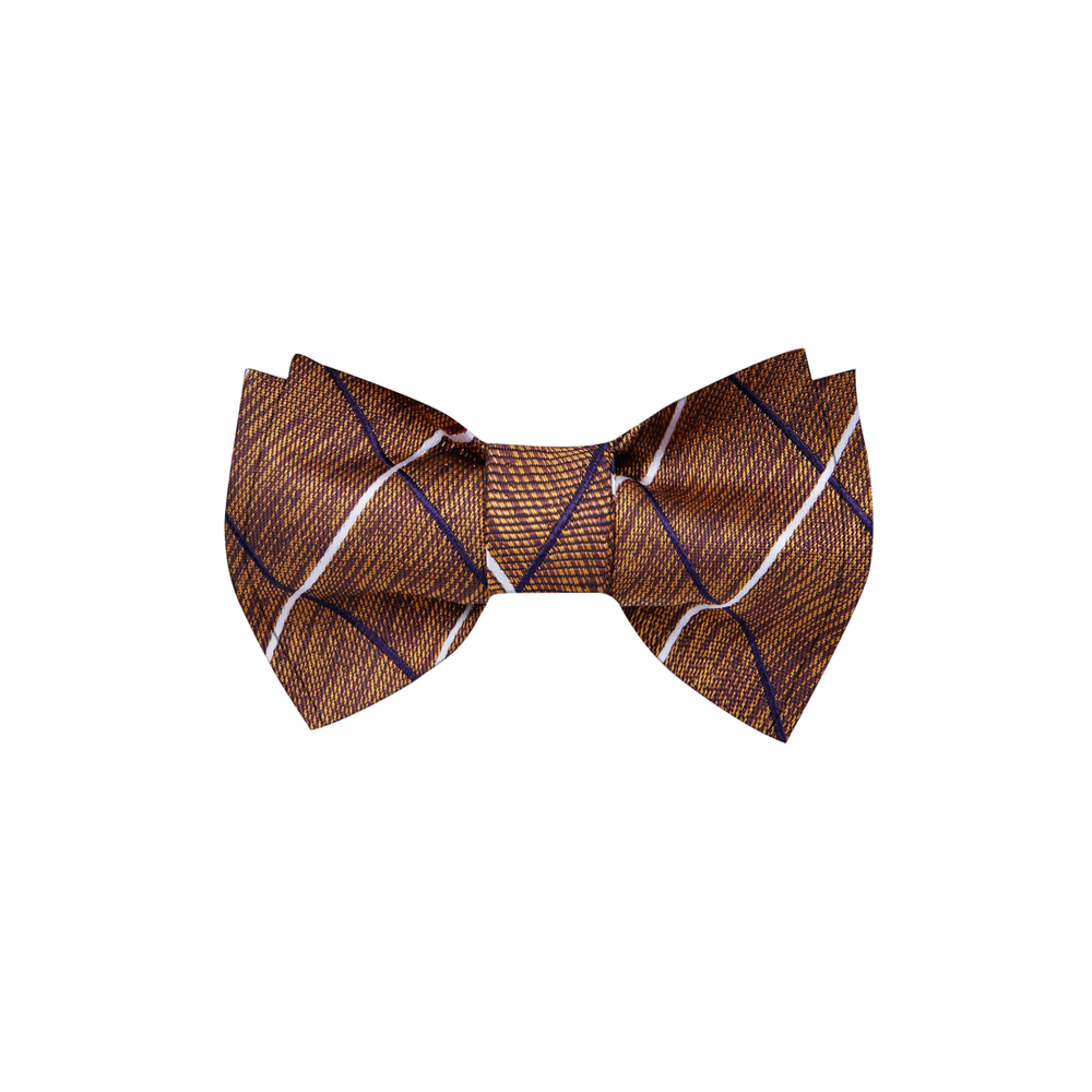 The Classic Man Plaid Bow Tie