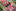  Multiple Bright Colors Candy Pattern Silk Necktie Keep