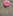 A Pink, Brown Polka Dot Lapel Flower||Pink, Brown