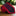 ||Red, Blue Tie Lined paisley