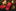 Alt view: Red with Christmas Tree and Bell Tie 