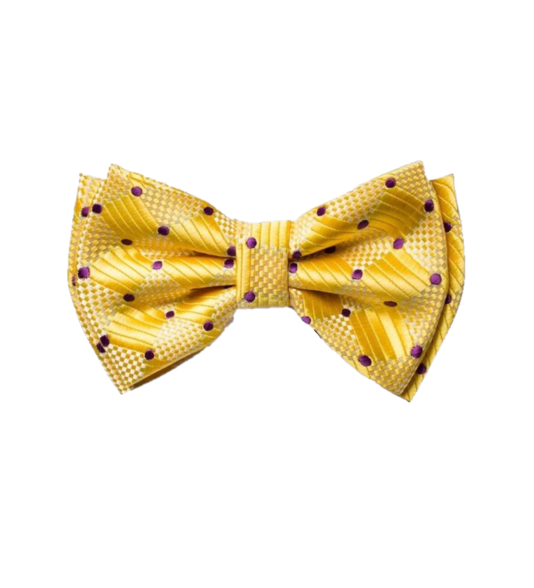 A Yellow, Purple Geometric With Dot Pattern Silk Self Tie Bow Tie