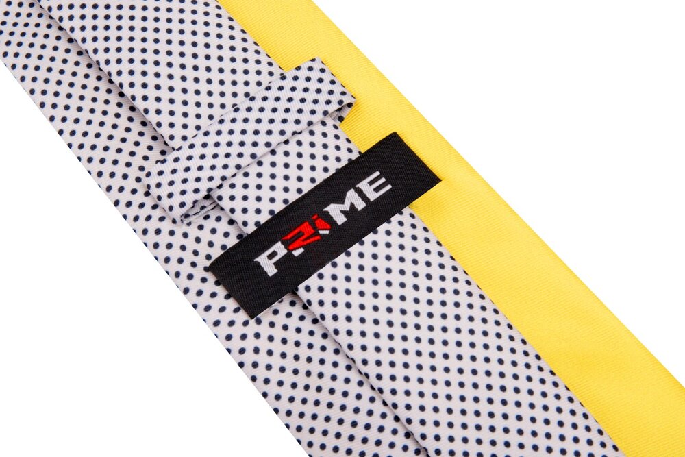 Yellow, Blue, Off-White Paisley Tie Keep